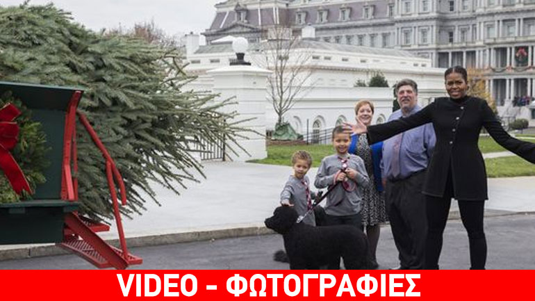 Συγκινημένη η Μισέλ Ομπάμα παρέλαβε το χριστουγεννιάτικο δέντρο του Λευκού Οίκου