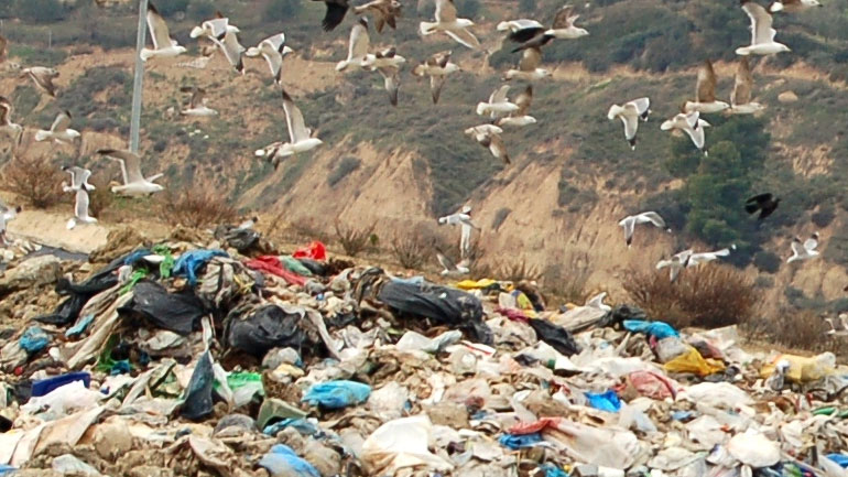 ΕΕ: 88 εκατ. τόνοι τροφίμων καταλήγουν στα… σκουπίδια!