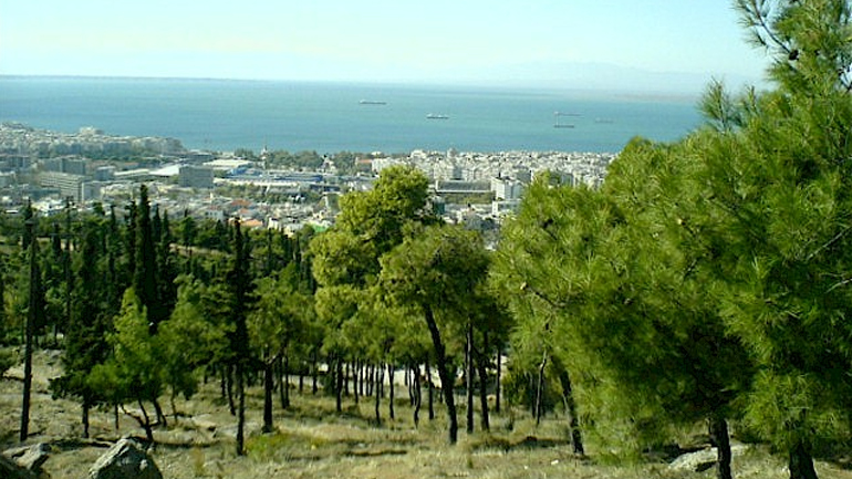 Θεσσαλονίκη: 70 μετανάστες έφθασαν στο… δάσος του Σέιχ Σου