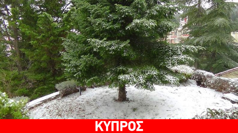 Κύπρος: Έπεσαν τα πρώτα χιόνια στο Τρόοδος
