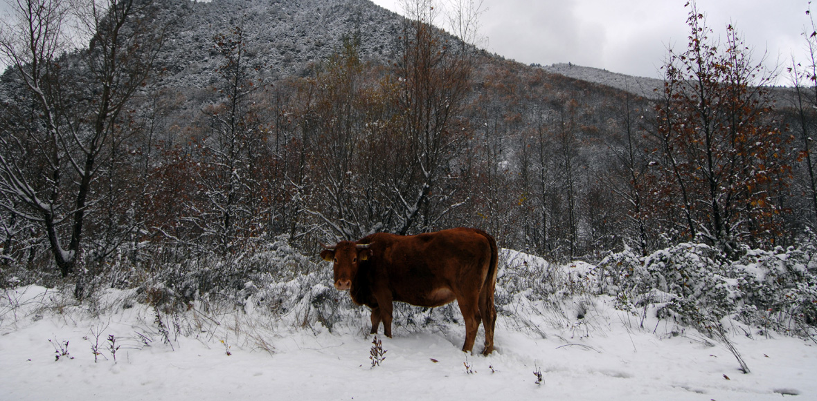 Οι πρώτες εικόνες του χειμώνα