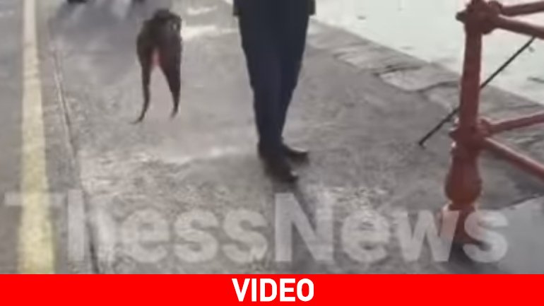 Ψάρεψε χταπόδι στην παραλία της Θεσσαλονίκης