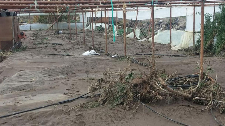 Λέσβος: Μέτρα για την ανακούφιση των πληγέντων