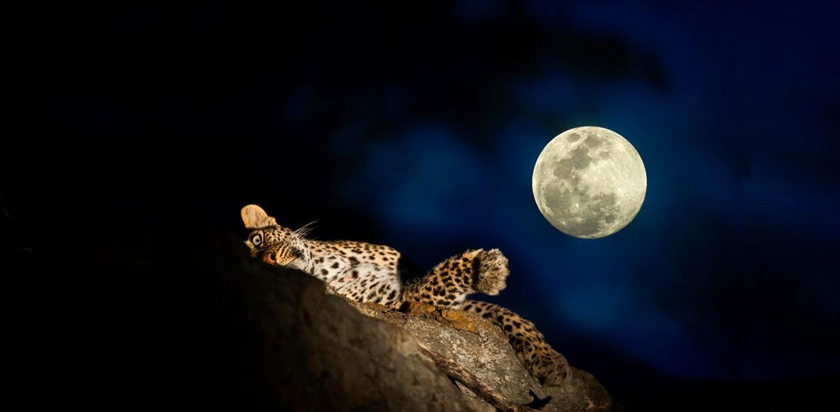 Άγρια νύχτα..