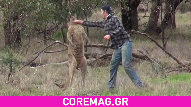 Έπαιξε μπουνιές με καγκουρό για να σώσει τον σκύλο του
