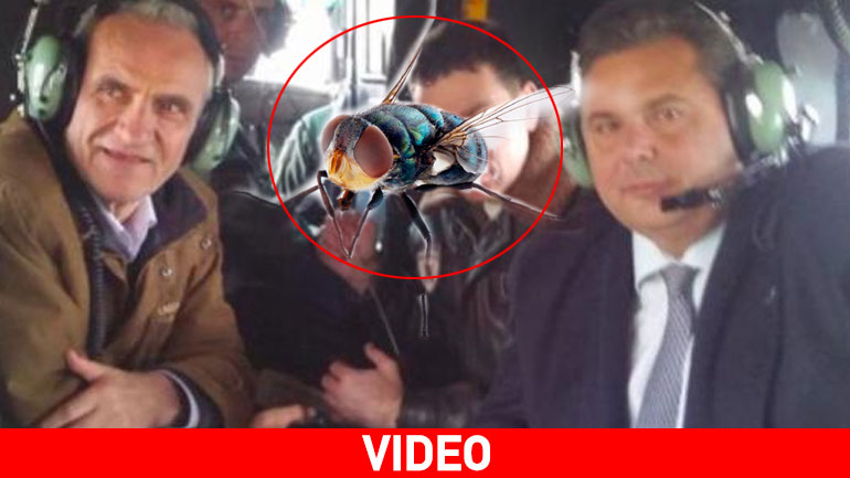 Ποια μύγα τσίμπησε Βαρεμένο και Καμμένο…