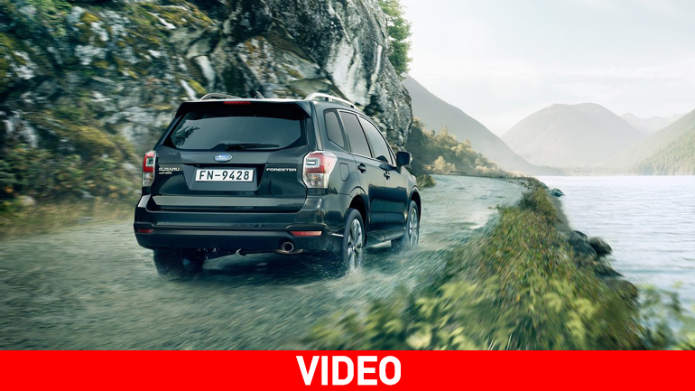 Τα Subaru πηγαίνουν παντού!