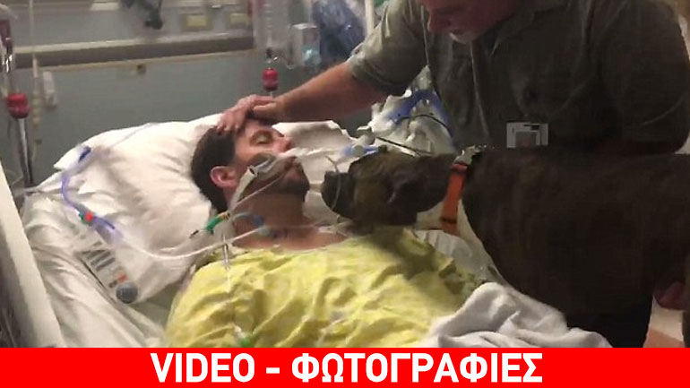Η συγκινητική στιγμή που σκύλος αποχαιρετά τον ετοιμοθάνατο ιδιοκτήτη του