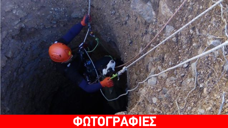 Διάσωση σκύλου που είχε πέσει σε πηγάδι 30 μέτρων