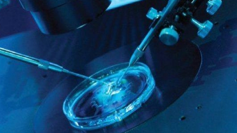 Μπορεί η ορμόνη του στρες στα μαλλιά να προβλέψει το αποτέλεσμα της εξωσωματικής;