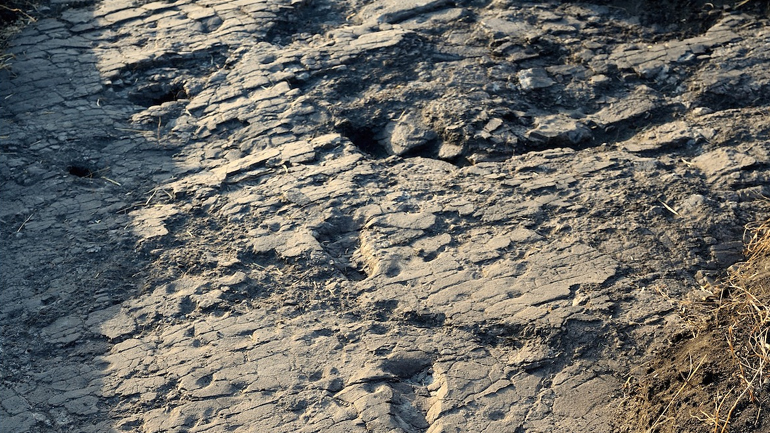 Αφρική: Ανακάλυψαν απολιθωμένες ανθρώπινες πατημασιές 3,7 εκατ. ετών