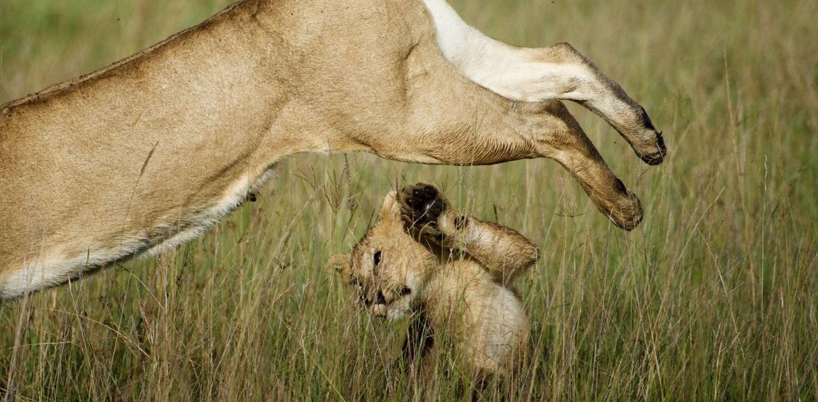 Προσοχή στο μωρό!