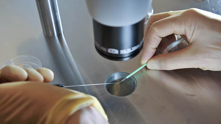 Βρετανία: Η πρώτη χώρα που επιτρέπει σύλληψη εμβρύων με DNA τριών ανθρώπων