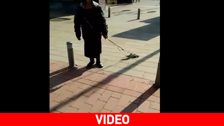 Γιαγιά στη Λάρνακα έβαλε λουρί στα παπαγαλάκια της και τα έβγαλε βόλτα