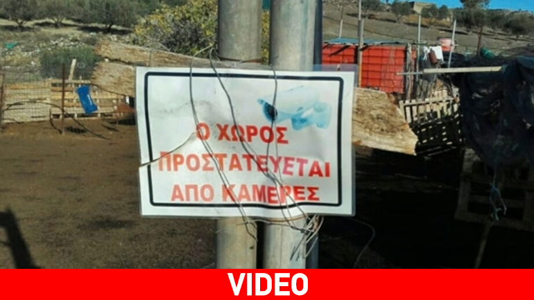 Η πιο high-tech στάνη βρίσκεται στην Κρήτη