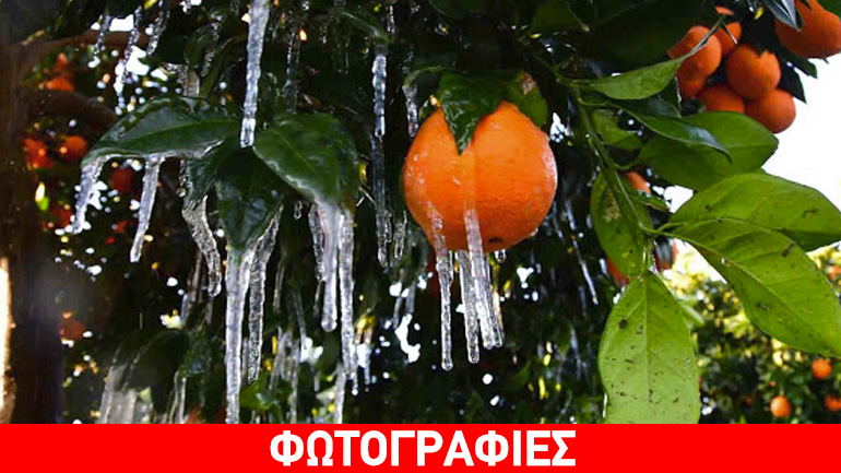 Στους -3 η θερμοκρασία όλη τη νύχτα στον αργολικό κάμπο! Στους -3 η θερμοκρασία όλη τη νύχτα στον αργολικό κάμπο!