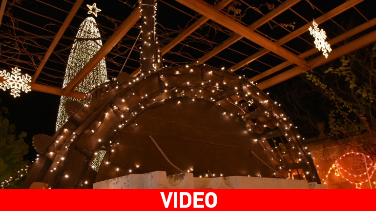 Χίος: Φωτίστηκε το μεγαλύτερο φυσικό δέντρο του Αιγαίου με 30.000 λαμπάκια