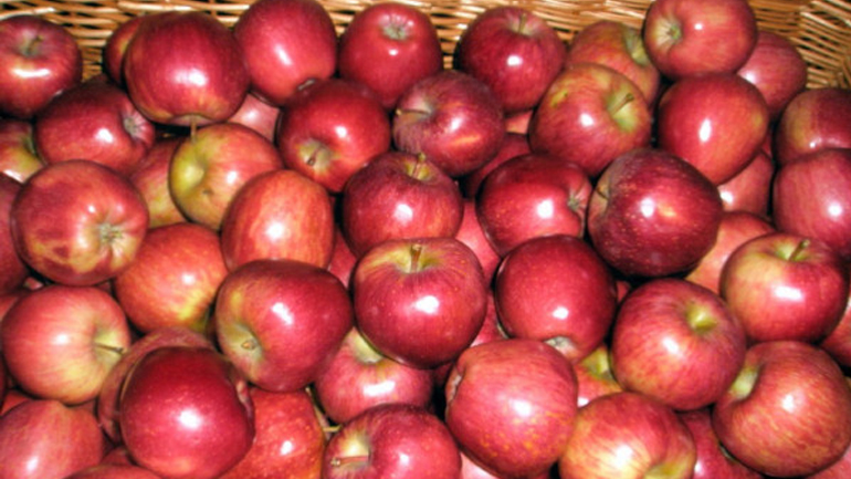 Πειραιάς: Δέσμευση 1.855 κιλών μήλων και κατάσχεση 820 κιλών σταφυλιών