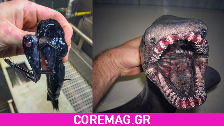 Τα 15 πιο τρομακτικά πλάσματα που έχει αλιεύσει ψαράς στον βυθό της θάλασσας