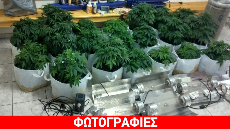 Εργαστήριο… κάνναβης μέσα σε διαμέρισμα στη Θεσσαλονίκη