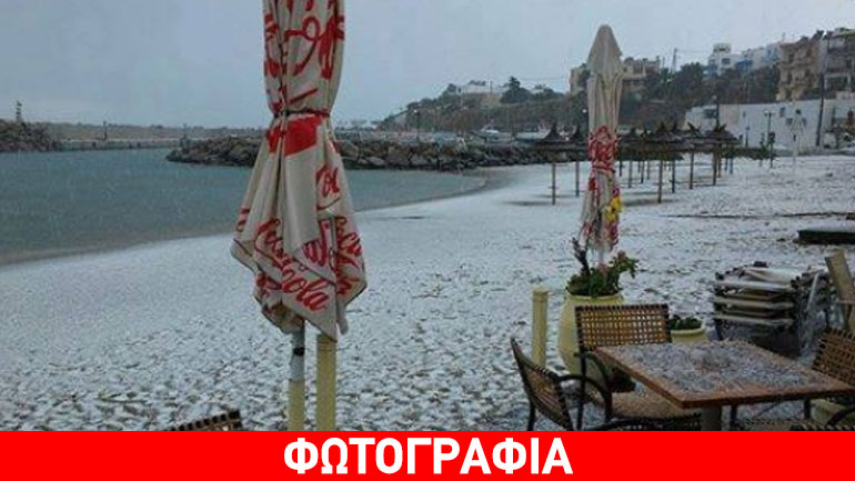 Κρήτη: Το χιόνι έφτασε μέχρι τη θάλασσα