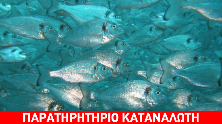 Δέσμευση ιχθυάλευρων στο τελωνείο του Πειραιά