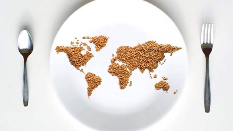 Ο κόσμος όλος σε ένα πιάτο – κοινή δράση από το ΕΜΘ και την Άρσις