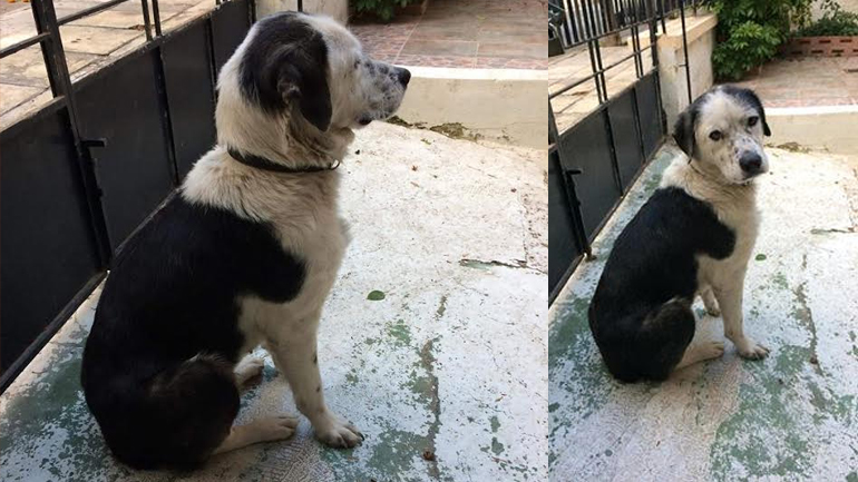 Μήπως την ψάχνει κάποιος;