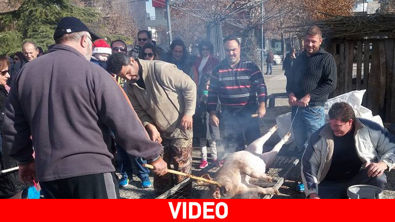 Λάρισα: Αναβίωσε η «γουρουνοχαρά» στην πλατεία