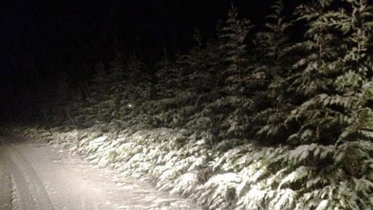 Διακόπηκε η κυκλοφορία στη λεωφόρο Πάρνηθας, λόγω χιονόπτωσης