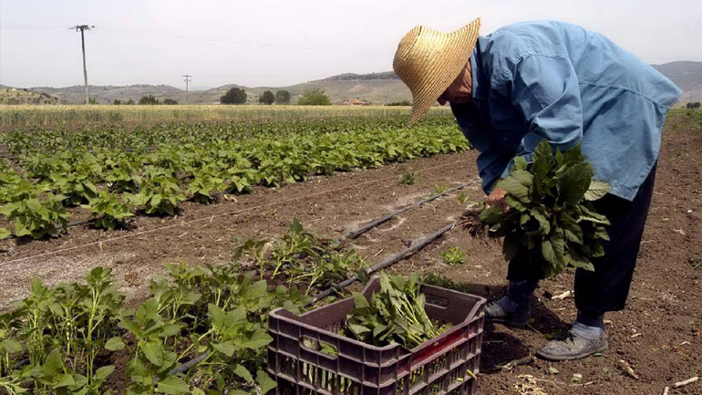 Παράταση στην οριστικοποίηση των ηλεκτρονικών αιτήσεων για νέους γεωργούς