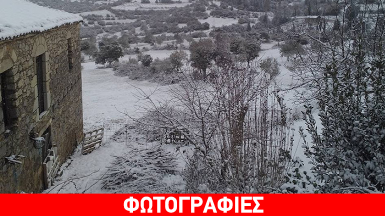 Μοναδική και ολόλευκη η Καρυά στην Αργολίδα