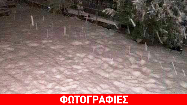 Χιονόπτωση στη Χαλκιδική