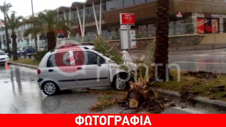Ηράκλειο: Αυτοκίνητο «καρφώθηκε» σε φοίνικα