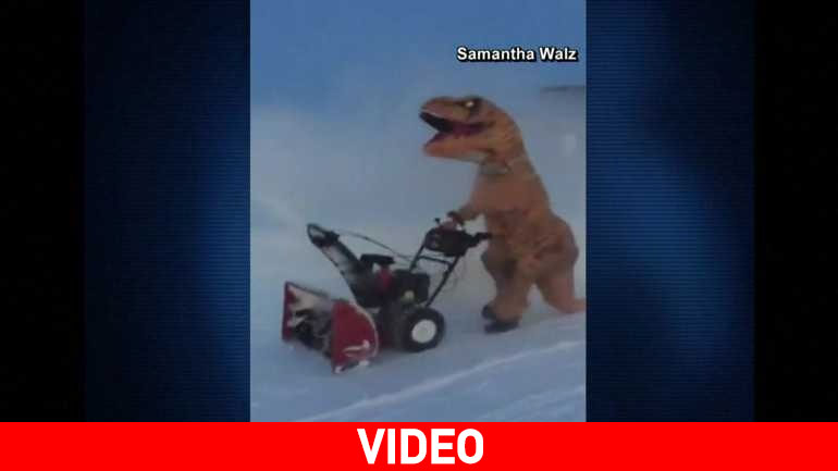 Θαρραλέος… δεινόσαυρος έκοβε βόλτες εν μέσω χιονοθύελλας στη βόρεια Ντακότα!