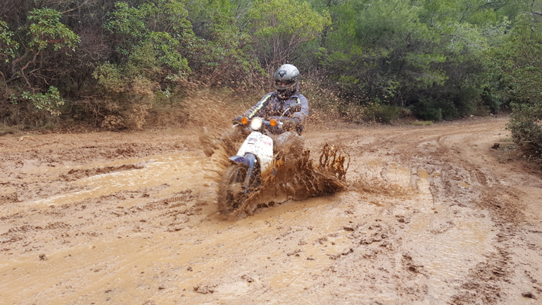 Νερόφιδα... αυτός ο 'Βούκας'