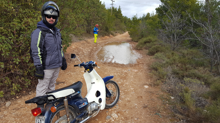 Νομίζετε πως δεν πάει; Γατάκια...