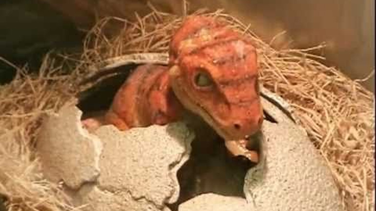 Πόσο χρόνο έκανε ένας δεινόσαυρος να βγει από το αβγό του;