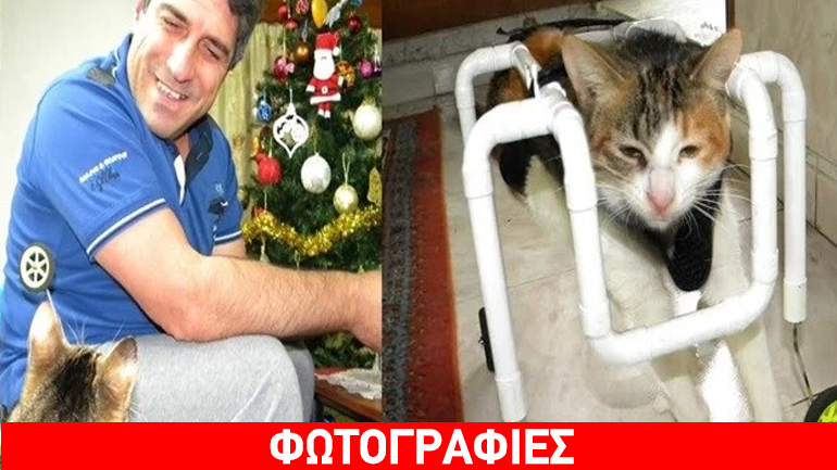 Λήμνος: Κατασκεύασε αναπηρικό αμαξίδιο για παράλυτο γατάκι