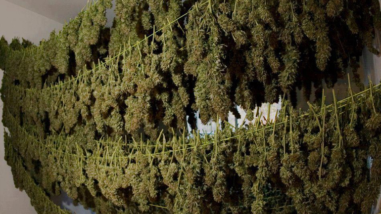 Στο στόχαστρο της ΕΛ.ΑΣ. διεθνές κύκλωμα διακίνησης ναρκωτικών