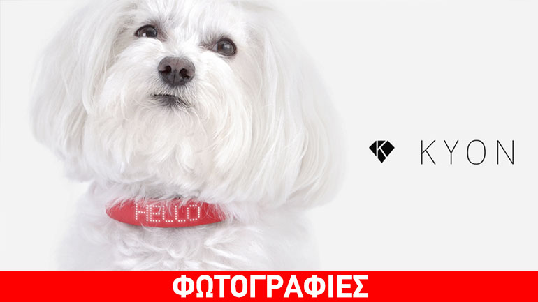 Kyon: Το «έξυπνο» κολάρο που μπορεί να ηρεμήσει το σκύλο σας