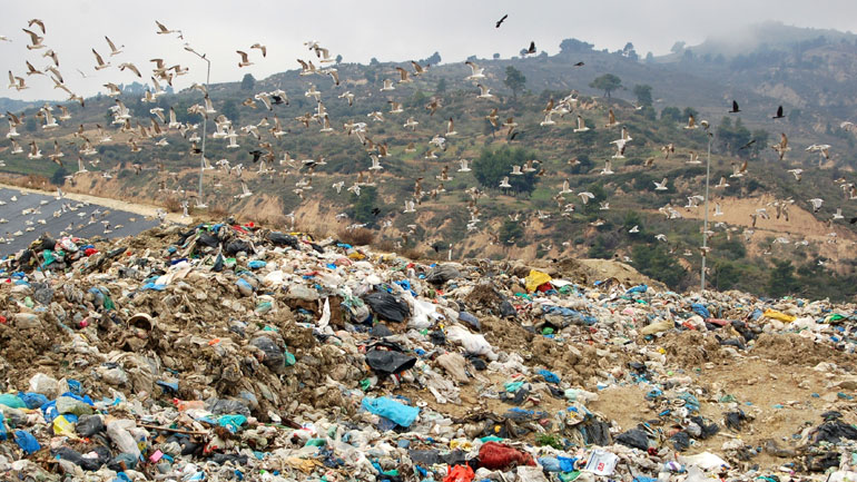 Aιφνιδιαστική απόφαση να μη λειτουργήσει απόψε η Φυλή