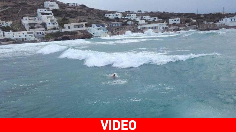 Δήμαρχος παντός καιρού…