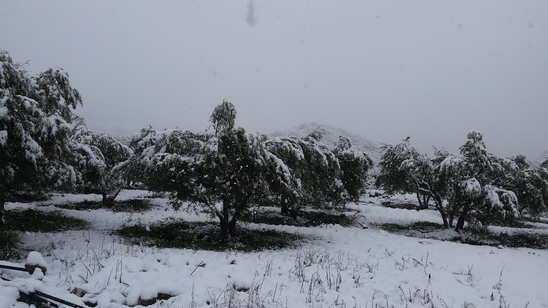 Βιάννος (Νομός Ηρακλείου)