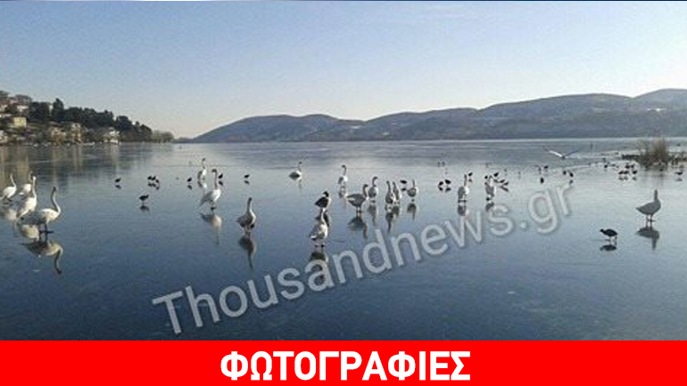 Πάγωσε ολόκληρη η λίμνη της Καστοριάς