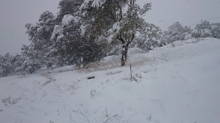 Σε κατάσταση έκτακτης ανάγκης η Κύμη Σε κατάσταση έκτακτης ανάγκης η Κύμη