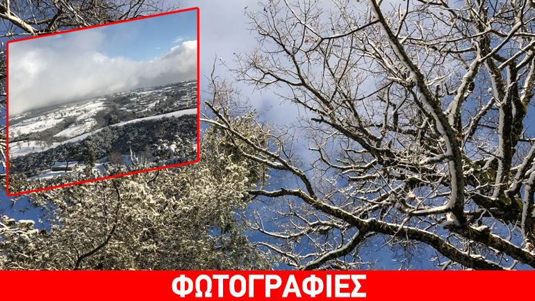 Το χιονισμένο δάσος της Φολόης