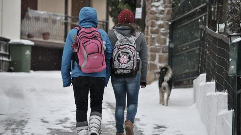 Ηλεία: Σε ποιες περιοχές δεν θα λειτουργήσουν τα σχολεία τη Δευτέρα