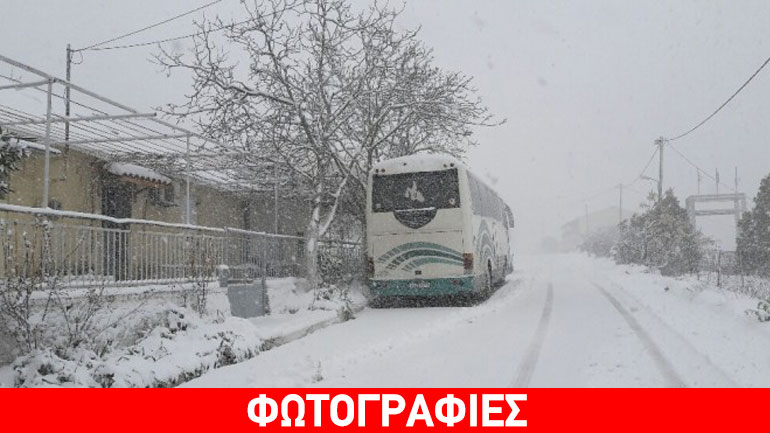 Πρωτοφανής χιονόπτωση σε Ζάκυνθο και Κεφαλονιά