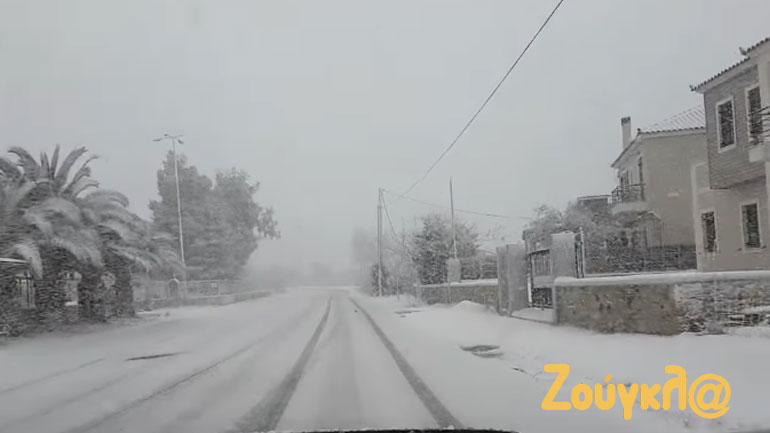 Οδοιπορικό στην κατάλευκη Λέσβο
